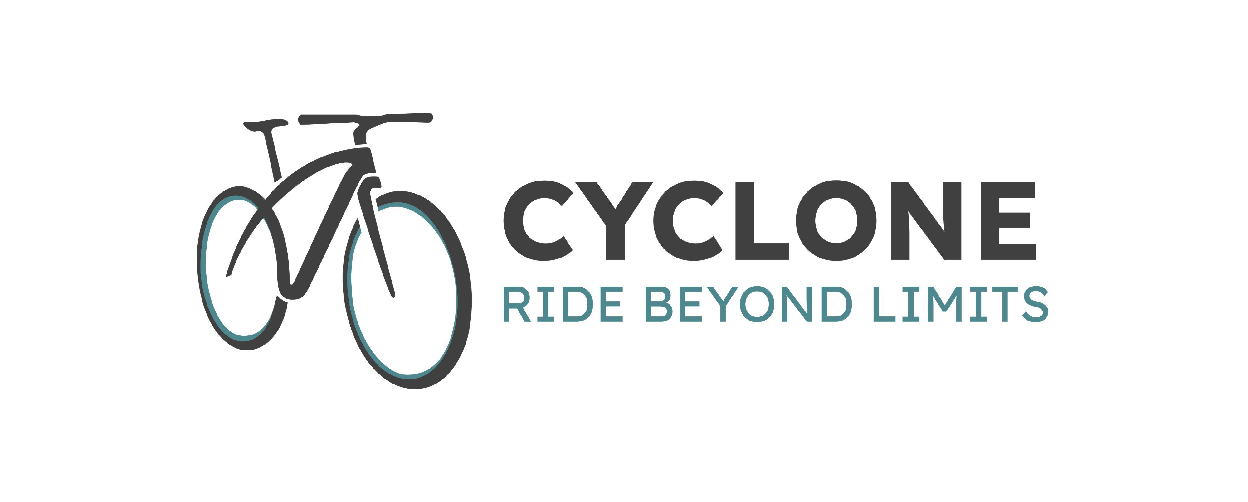 CycloneX
